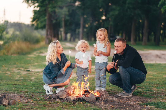 Happy Family Roasting Marshmallow Over Campfire. Family Is On A Picnic