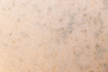 Wood plate background that have stained by black mold