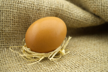 Fresh brown egg on burlap sack