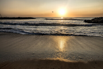 Fototapeta na wymiar Sunrise in the beach , in Mar del Plata , Argentina 