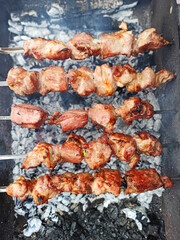 Meat on skewers cooked on wood, on the street, grill, picnic. Pork against the background of hot coals.