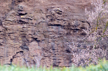 Granite wall and trees in the quarry