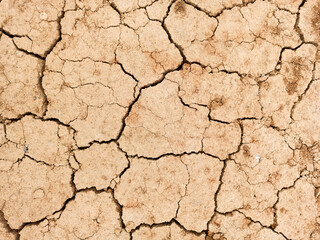Dry yawning in the cracks, global warming, ecology. Infertile soil.
