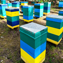 Bee hive are multicolored, stand in the forest, collecting honey from forest flowers.