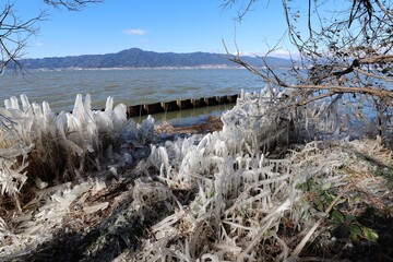 Fototapeta premium 琵琶湖のしぶき氷