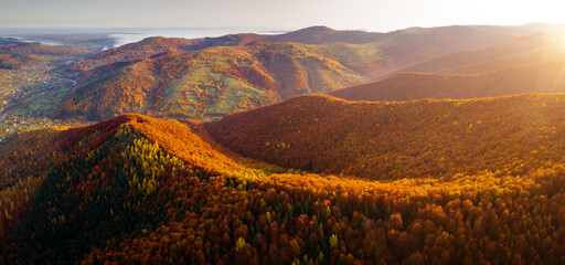 Fantastische Luftaufnahmen des Herbstwaldes in den Bergen.