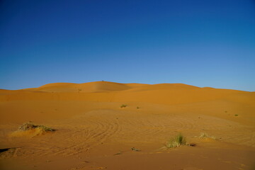 Fototapeta na wymiar Desierto y arena, huellas