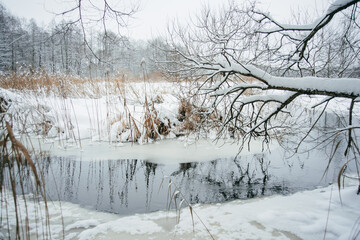 Fototapeta na wymiar Beautiful winter frozen forest and river in snow
