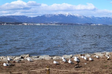 琵琶湖のしぶき氷