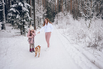 Fototapeta na wymiar Happy family young mother and little cute girl in pink warm outwear walking having fun with red shiba inu dog in snowy white cold winter forest outdoors. Family sport vacation activities.