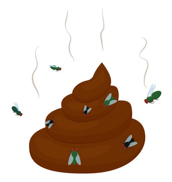 Cartoon stinking poo with flies icon. Smelling pile of shit vector illustration isolated on white