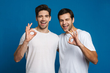 Happy unshaven two guys winking while showing ok signs