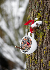Homemade tea cup bird feeder hanging on a tree in the winter garden. Help people to animals. Copy...