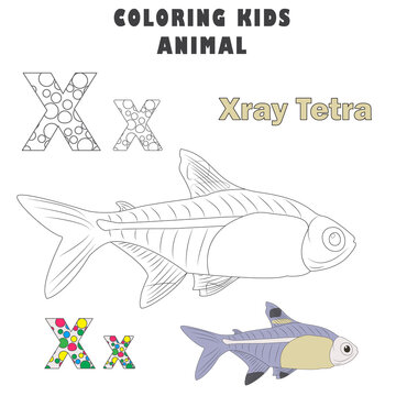 Letter X Xray Tetra Animal Coloring Kids