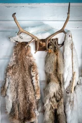 Fotobehang Still life of wolf skins hanging on a coat rack © beatrice prève