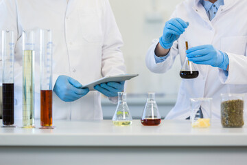 Fototapeta premium Scientist’s hands working with tablet in cbd laboratory