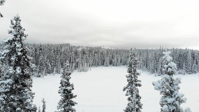 A winter landscape in snowy surrounding with a snowmobile riding driving across a frozen lake on a cloudy, cold, freezing day from above by drone, aerial photography. 