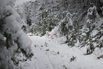 Achtung, betreten verboten! Wald mit Absperrband abgesperrt im Winter mit Schnee