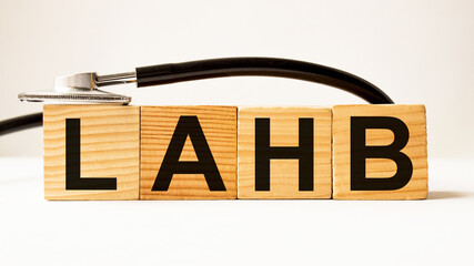 wooden cubes with text LAHB. the medicine. medical concept