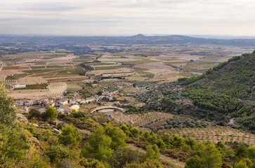 Fototapeta na wymiar View of vineyards fields of Somontano PDO, Huesca province, Spain