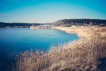 Dry grassy vegetation in early spring in temperate climates