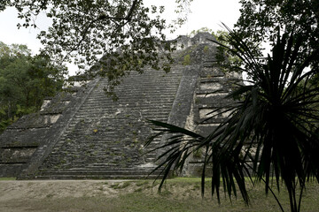Fototapeta na wymiar Tikal, Guatemala, Central America: National Park, UNESCO World Heritage. Mayan ruins/temple/pyramid