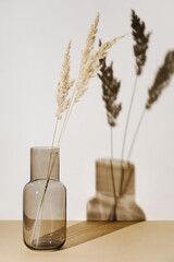 Pampas grass branches in vase on pastel neutral beige background with sun light and trendy shadow....