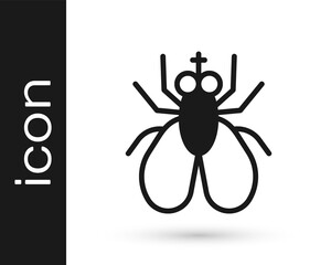 Black Insect fly icon isolated on white background. Vector.