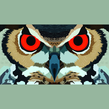 owl illustration