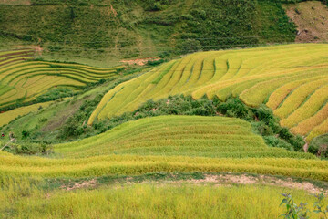 Fototapeta na wymiar A landscape photo taken in Vietnam
