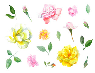 Watercolor flowers and leaves hand painted set with pink, white and yellow flowers, buds and green branches with leaves