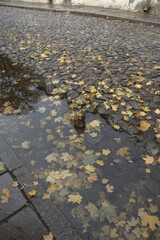 Ein Herbsttag mit Regen in der Altstadt von Tallinn