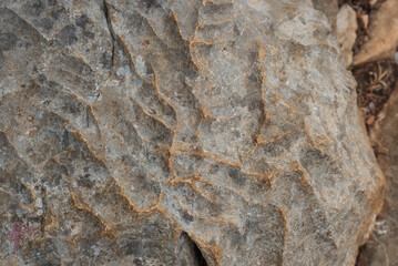 close up of beige limestone rock with shape and texture which looks like mountain ridge folding