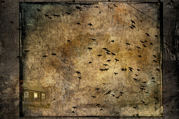 Spooky crows artistic composition