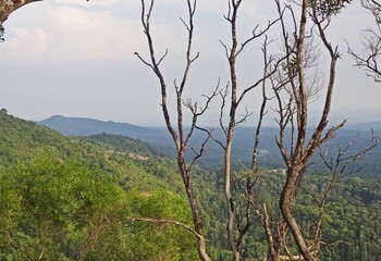 Fototapeta na wymiar beautiful mountain range of karnataka,south,india