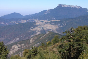 Caspian Hyrcanian mixed forests