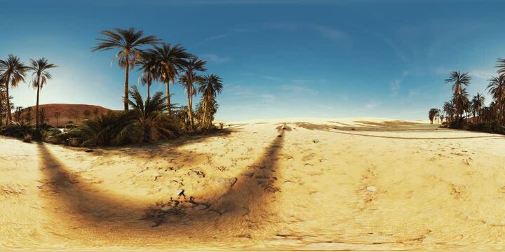 VR360 view of palm oasis in desert