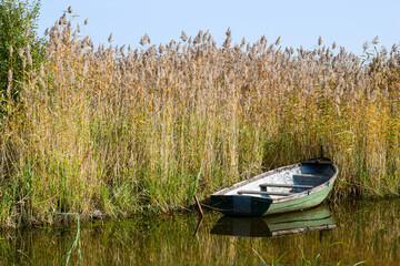 Naklejka na ściany i meble Boat standing in the reeds at the lake shore