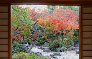 View of bright red and yellow autumn leaves, Momiji through Shoji window at JOJAKKO-JI temple in Kyoto prefecture, Japan