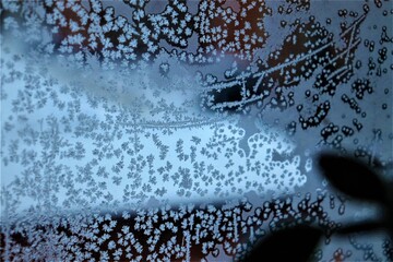 Frozen patterns on the window