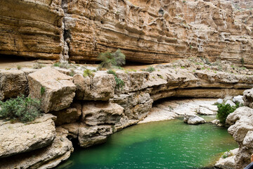 Beautiful canyon with green lagoon in Wadi Shab, Oman. 