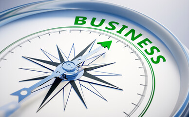 Silver and green compass with needle pointing to the word business - 3D illustration	
