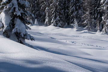 un bel paesaggio di montagna innevato, delle dune di neve in luce-ombra sembrano quasi un deserto.