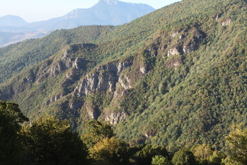 Caspian Hyrcanian mixed forests