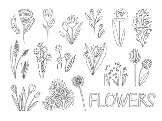 Vector illustration of collection of tulip, rose, lilies of the valley, сalendula, aster and other different flowers hand drawn illustration in doodle style. Line art. For web and another print design