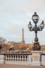 Fototapeta na wymiar View to the Eiffel tower from Alexandre 3 bridge