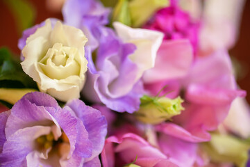 Beautiful fresh delicate bouquet of pink roses in the garden. Close up view. Focus concept.