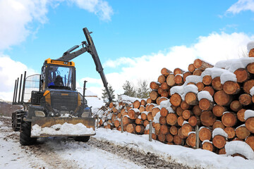 tractor apilando troncos  cortados de árbol invierno país vasco 4M0A6568-as21