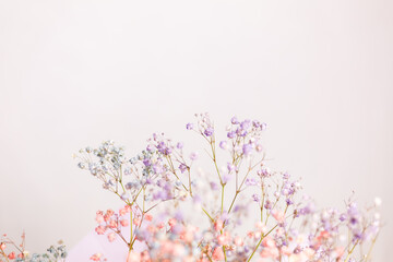 Fototapeta na wymiar Beautiful decoration cute little dried colorful flowers, background, wallpaper.