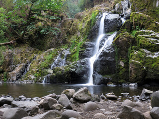 Delicate Waterfall in Pacific Northwest